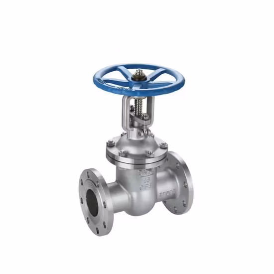 OEM/ODM кованый полнопроходной NPT 600wog 1/2